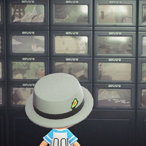 Animal Crossing Surveillance Screens